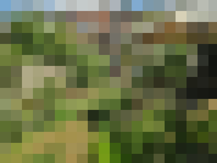 Image 29