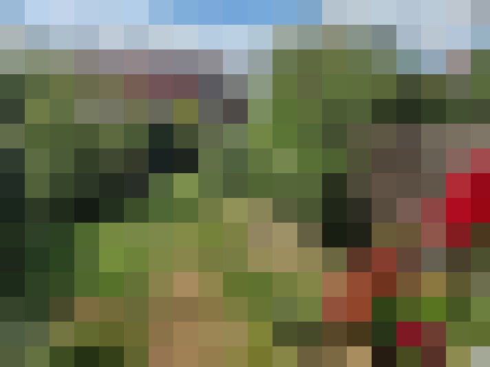 Image 30
