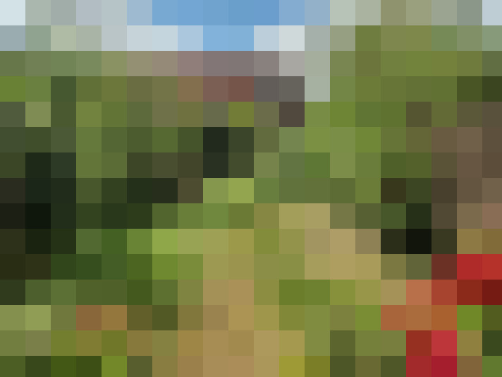 Image 28