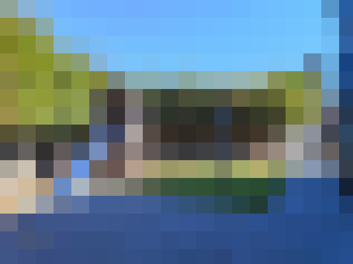 Image 14