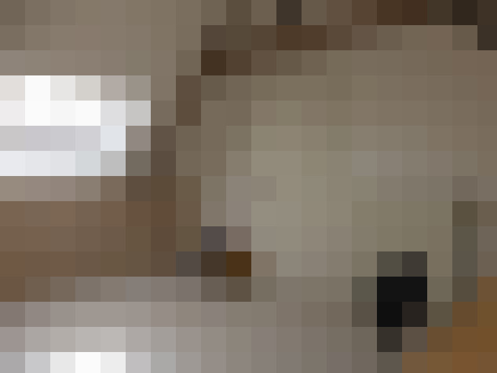 Image 20