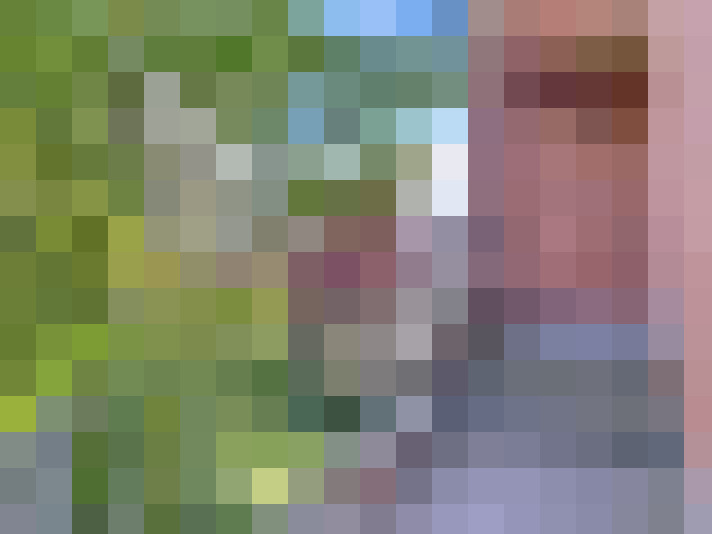 Image 30