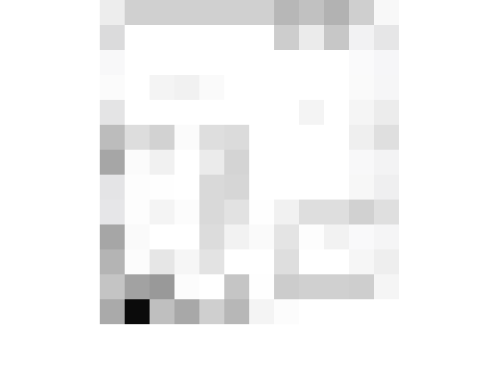Image 32