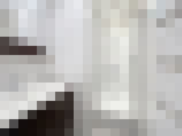 Image 17
