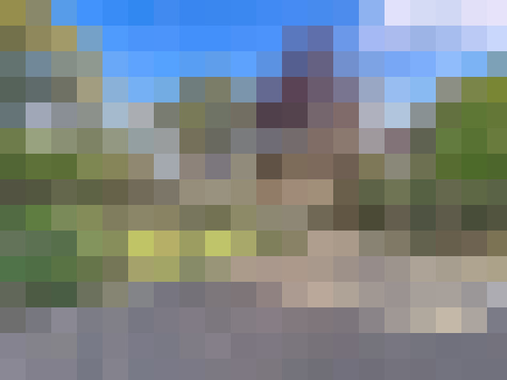 Image 29