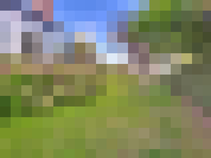Image 27