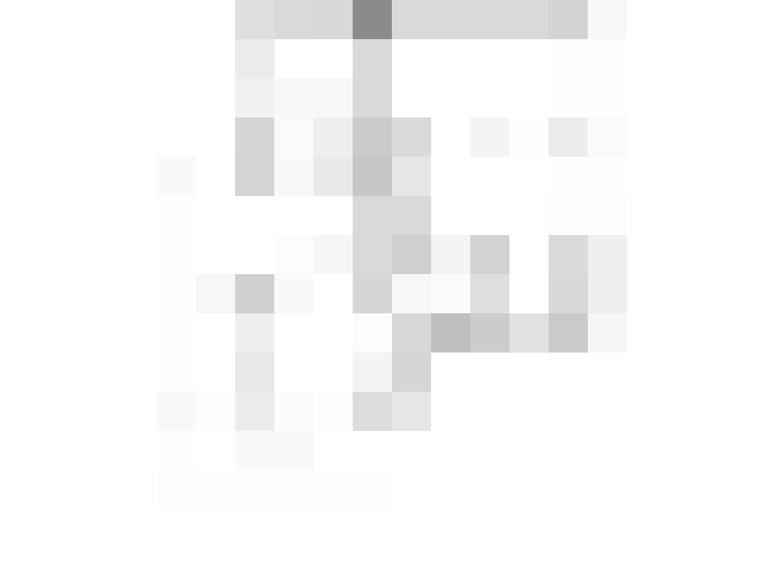 Image 31