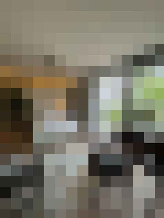 Image 22
