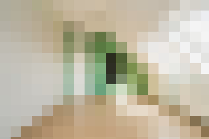 Image 20