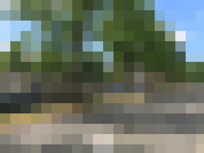 Image 24