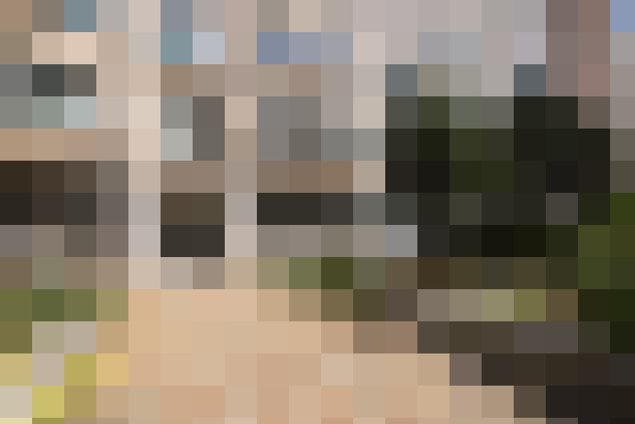 Image 13