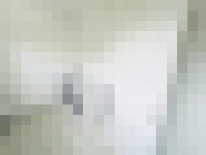 Image 29