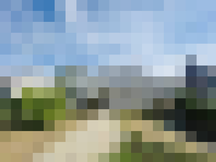 Image 33