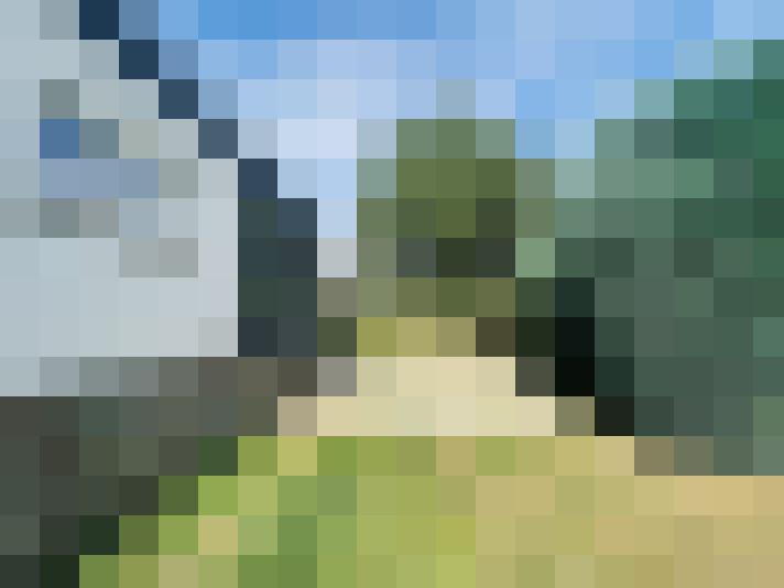 Image 13