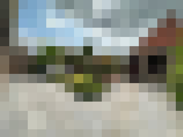 Image 16