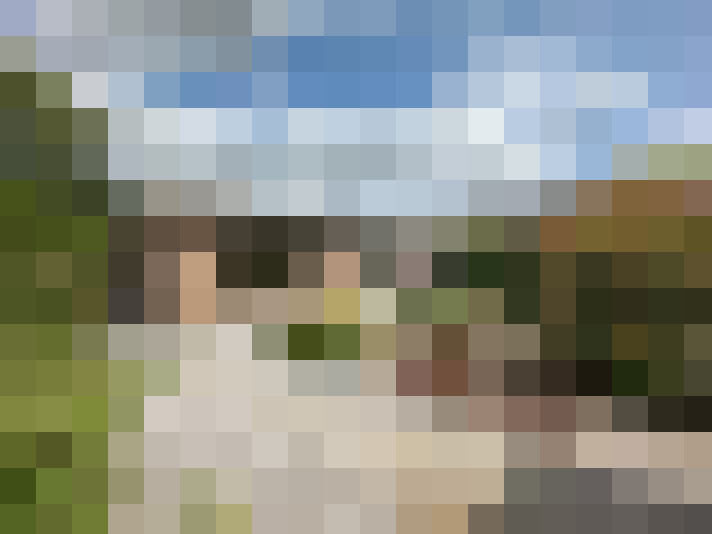Image 15