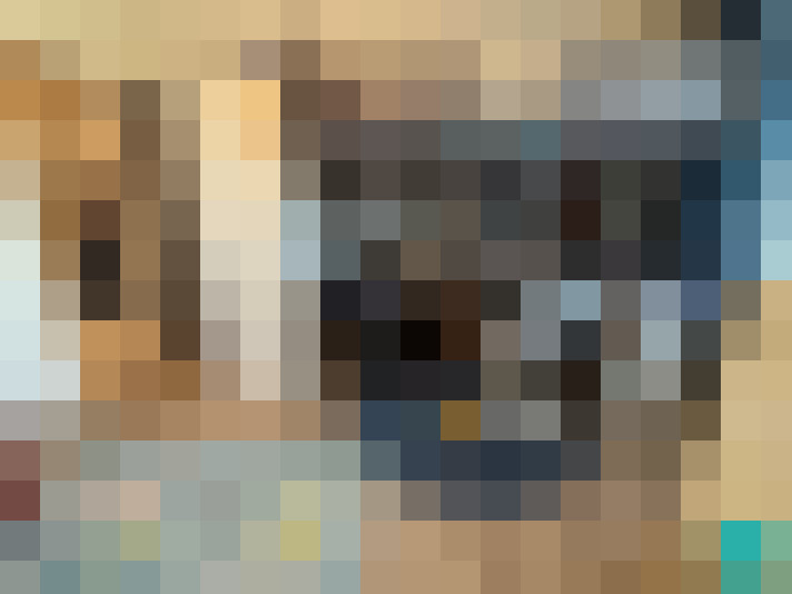 Image 22
