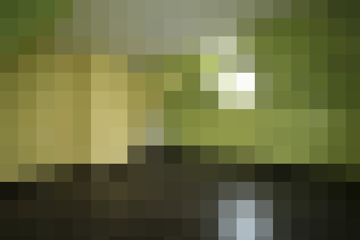 Image 17