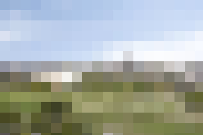 Image 17