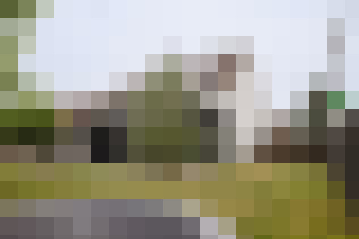 Image 17