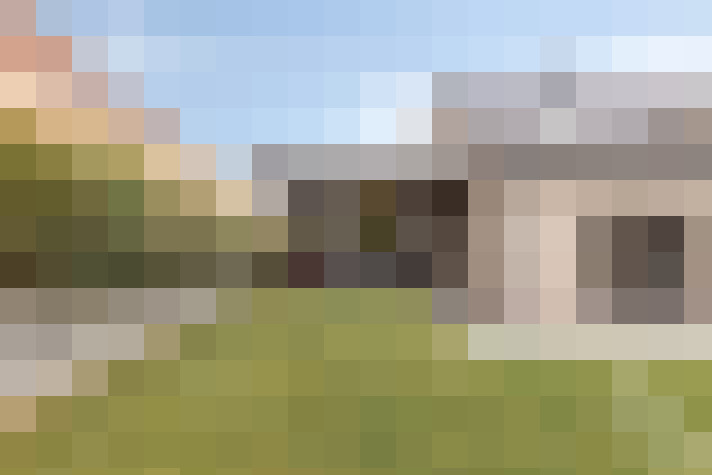 Image 31