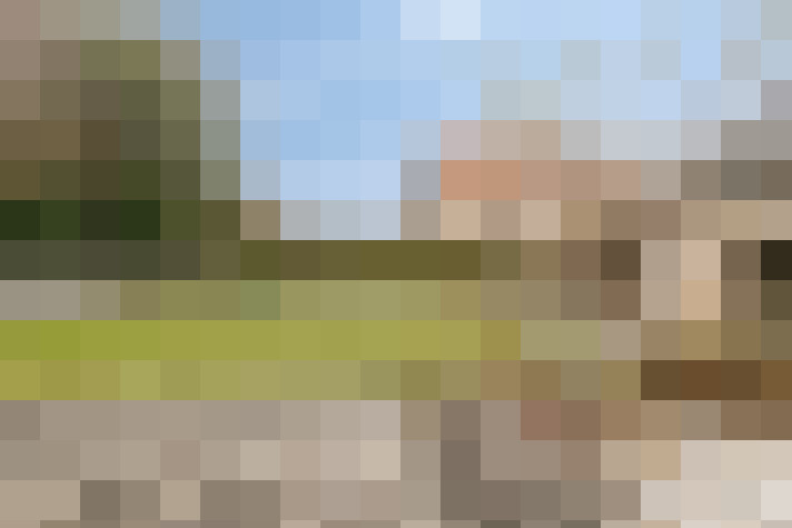 Image 28