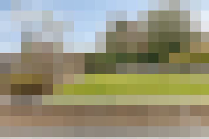 Image 24