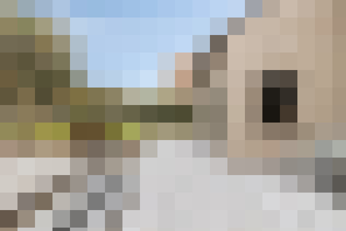 Image 25