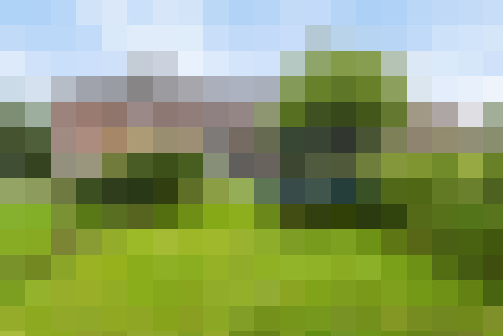 Image 34