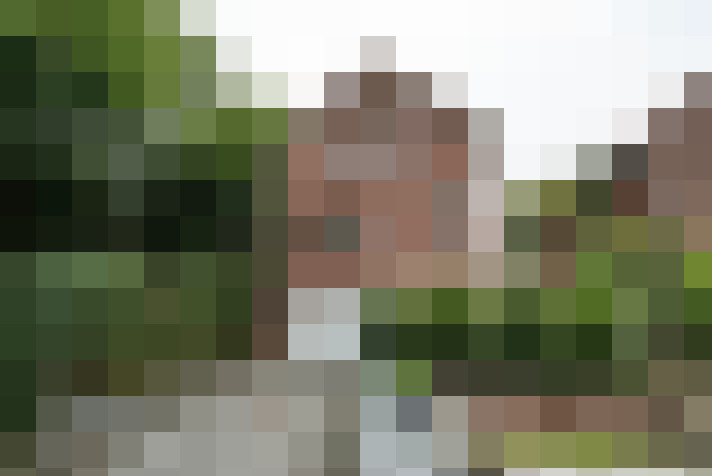 Image 13