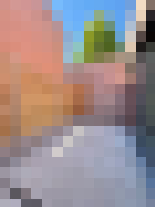 Image 17
