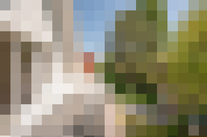 Image 17
