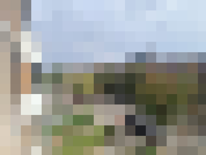 Image 30