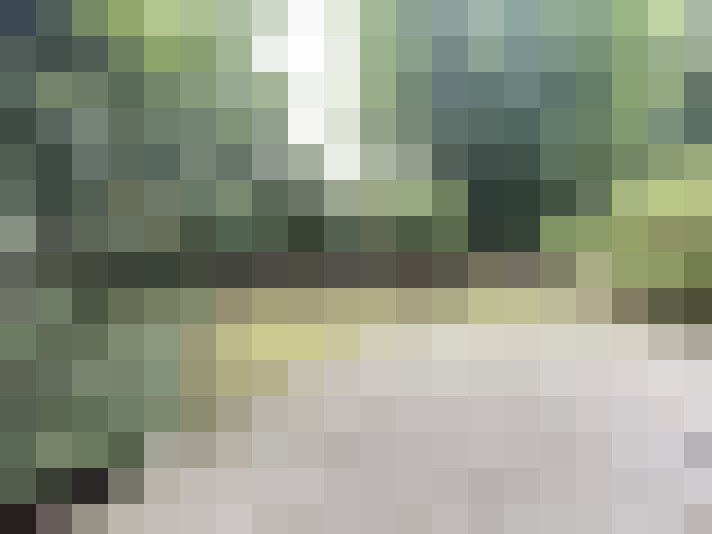 Image 13