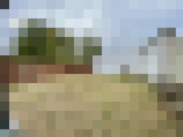 Image 13