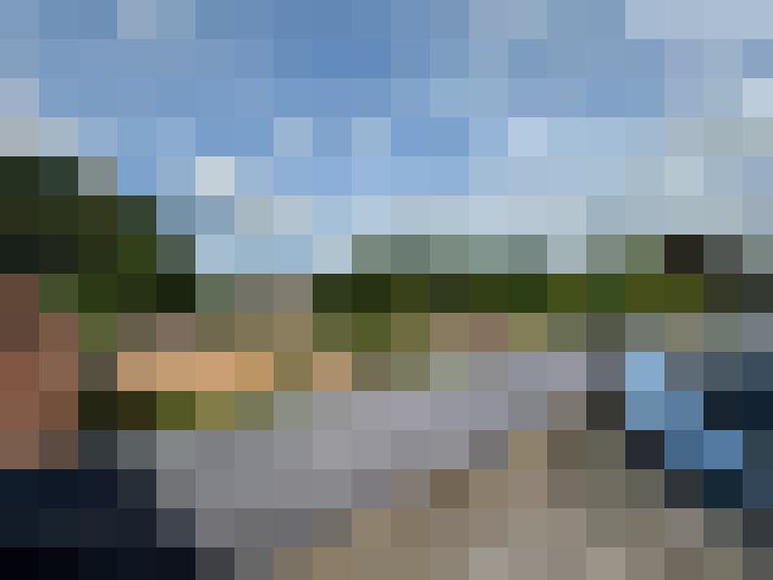 Image 15