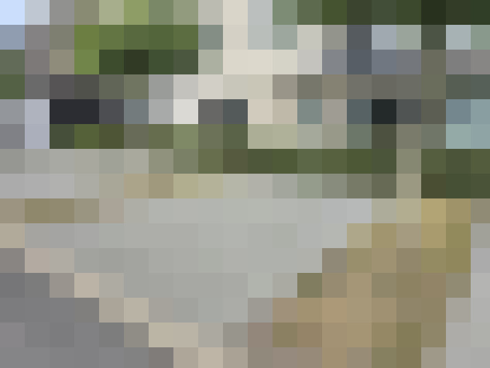 Image 16