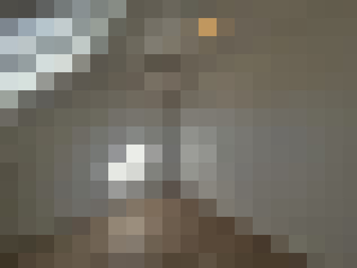 Image 20