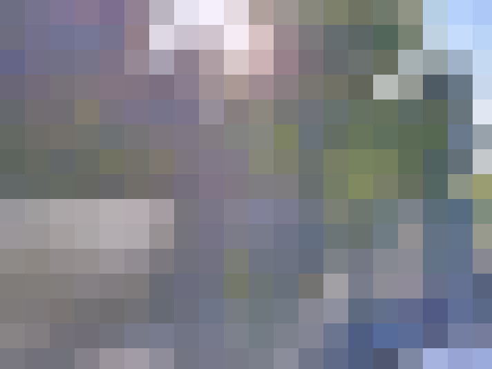 Image 14