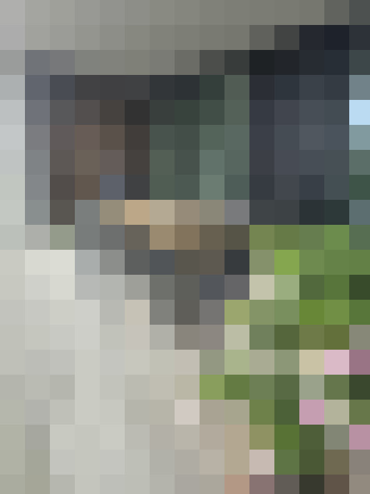 Image 17