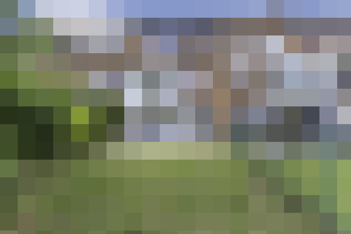 Image 17