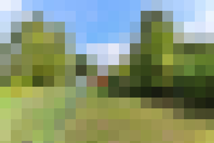Image 16