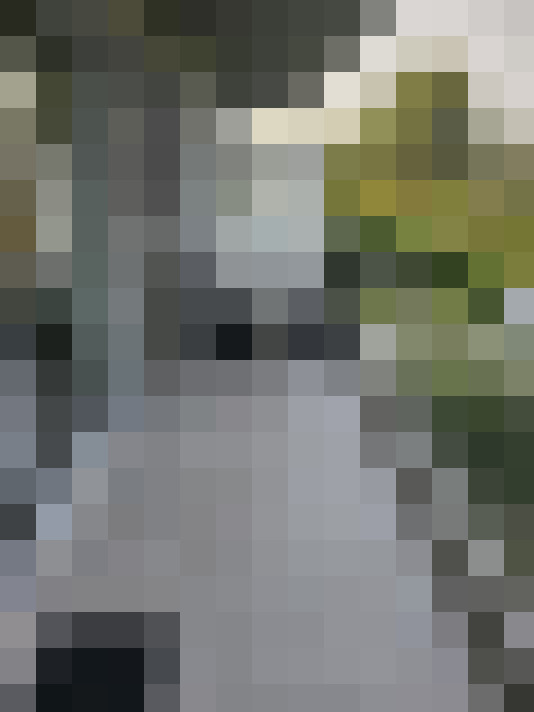 Image 13