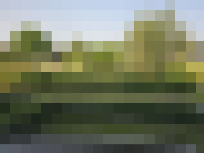 Image 14