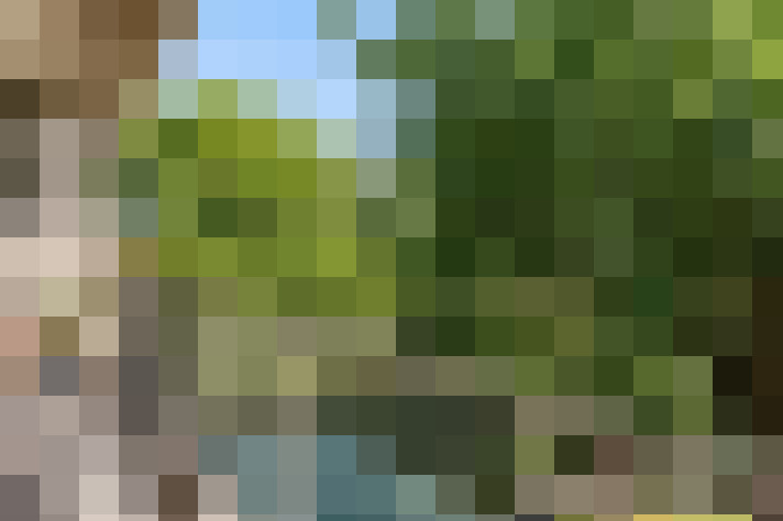 Image 13