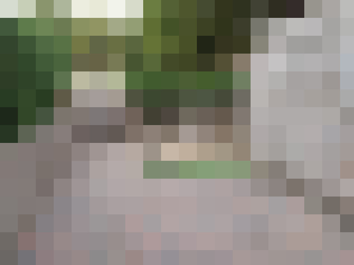 Image 17