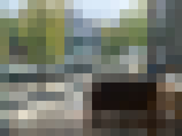 Image 15