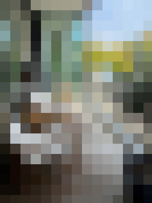 Image 17