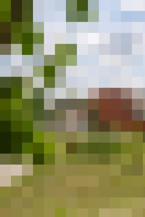 Image 17