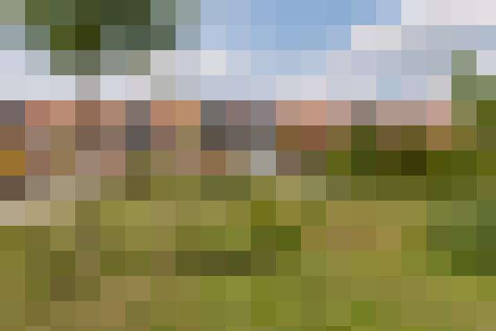 Image 18